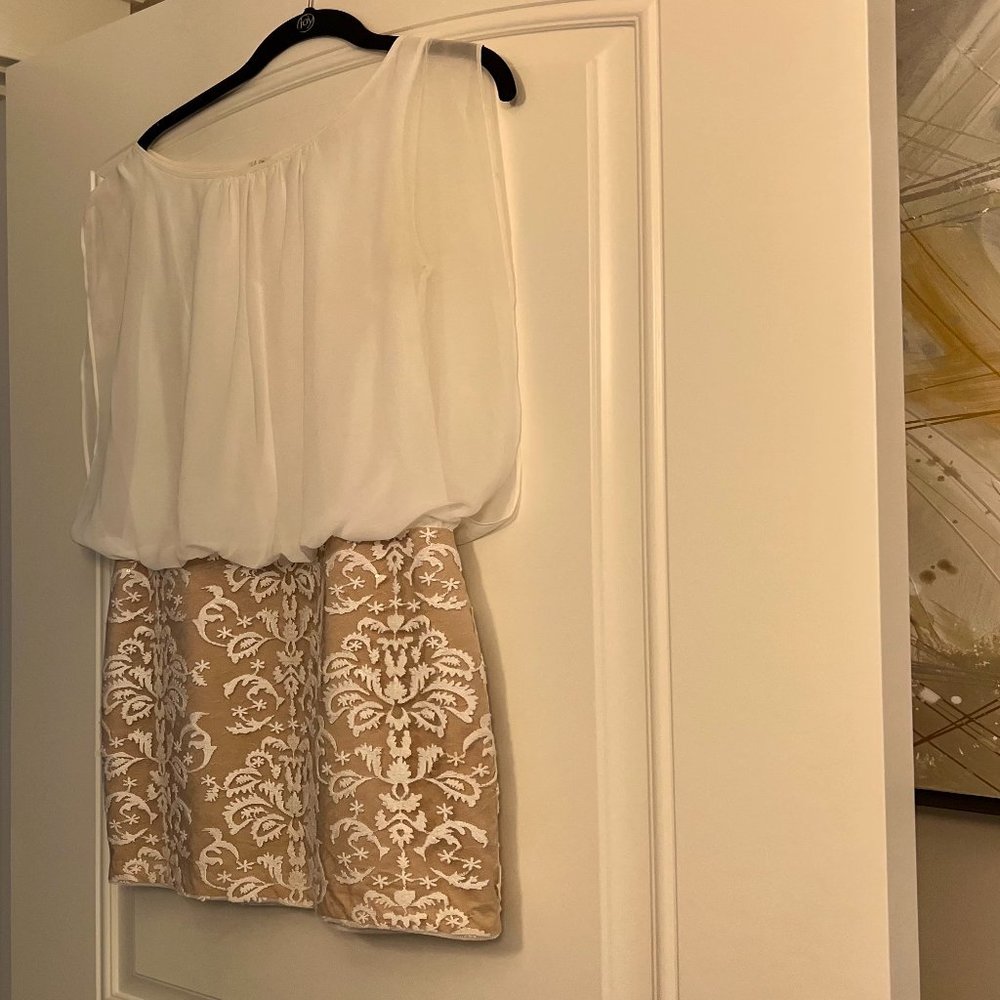 Aidan Mattox Embroidered Cocktail Dress